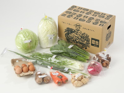 家族で野菜セット(平飼い卵入り)